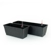 ROCKRAIN 2-Pack Smart Self-Watering Planters: Hand Woven Wicker Rectangle Pots