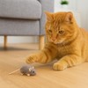 SPOT House Mouse Helen Cat Toy with Catnip – Lifelike