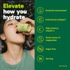 Organika Electrolitos con Colágeno con Prebióticos Limón y Bayas 360