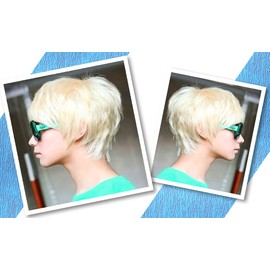 Happykoko Men's Wig, Wig, Net Included, Wig, Short, Straight, Heat Resistant, Men's Dress (Gold/Blonde) Free