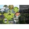 Koyamaen Tanba Nata bean tea tea bag 3g x 30