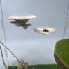 Jumping Spider Mushroom Shelf, Magnetically Concealed Jumping Spider Habitat,Serves As