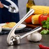 Garlic Press, Stainless Steel Garlic Cutter, Robust Durable Garlic Mill,