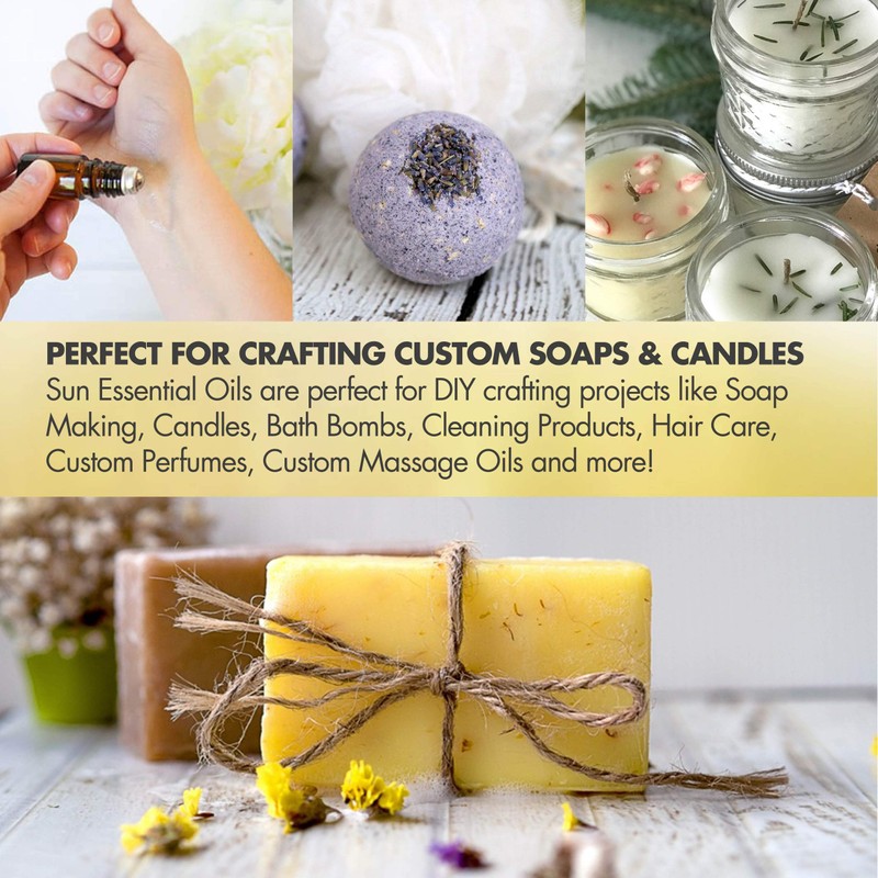 Sun Essential Oils – 16 oz Camphor Essential Oil with