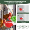 Psarnuk Chicken Waterer Cups (16 Pack/Red) - DIY Automatic Large