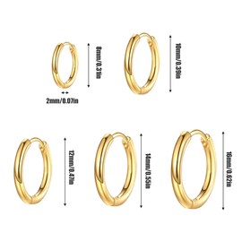 5 Pairs Gold Hoop Earrings Stainless Steel Gold Plated Small Hoop Earrings Hypoallergenic Titanium Earrings 8/10/12/14/16mm