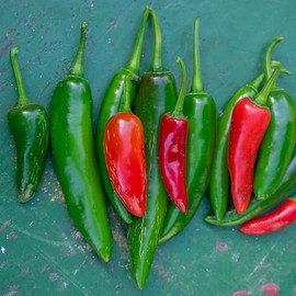Hot Pepper Seeds - Serrano Tampiqueno - 1 Ounce - Vegetable Seeds, Heirloom Seed, Open Pollinated Seed Easy to Grow & Maintain, Container Garden