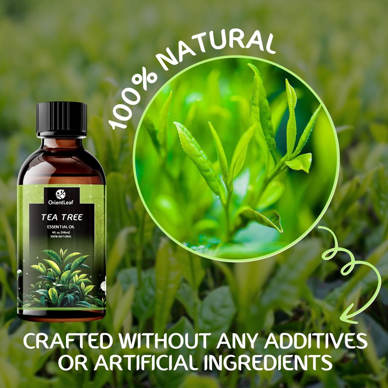 ORIENTLEAF Tea Tree Essential Oil, 4.0 fl oz