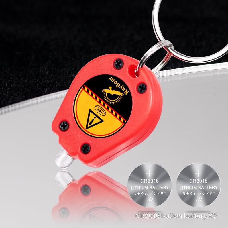 RaySoar 10 Pack Ultra Bright Mini LED Keychain Flashlight, Small