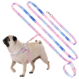 PororoPet Print Dog Leash - Lightweight & Durable Leash with Fun Loopy Prints - Adjustable for Small, Medium Dogs - Perfect for Walking, Running, Hiking - S