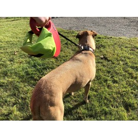 Reusable Smell Proof Waste Bag - Dog Poop Bag Holder for Dog walkers + Hiking with Dogs & Camping. Odor Proof Wag Bag, Diaper Wet Bag, Camping Trash