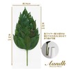 Sakaki, Extra Large MV, Camellia Leaves Extra Thick, Medium Size,