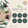 Aceites Esenciales de Arbol de Té Aromaterapia - Natural 100%