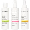 Shampoo & Conditioner Set with Hair Spray - Wig Care