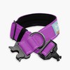DF Co. Tactical Dog Collar | Comfortable & Secure with