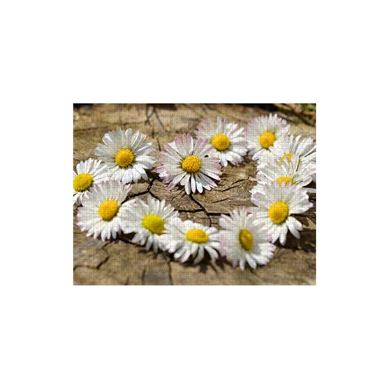 Herz aus Blumen 1000 Teile Puzzle quer