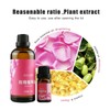 Rose Extract Essential Oil Skin Care Face Moisturizing Body Massage