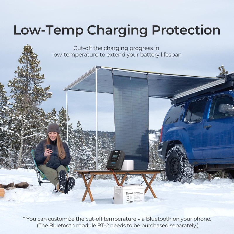Rover 12V/24V 20A Charge Controller with MPPT- DC Input Solar