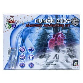 Explorer-U Human Body