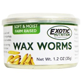 Canned Waxworms (6 Pack) - Healthy High Protein Insect Treat - Hedgehogs, Sugar Gliders, Reptiles, Wild Birds, Chickens, Lizards, Bearded Dragons, Skunks, Opossums, Fish, Amphibians, Turtles