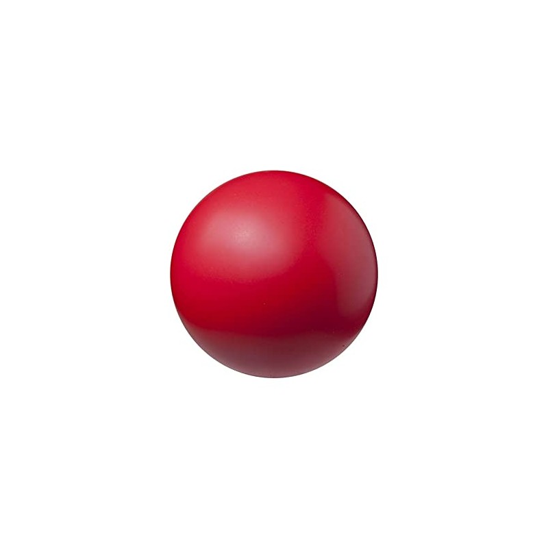Champion Sports Coated High Density Foam Ball – 4 Inch,