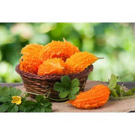 Serendipity Seeds Tropical Gourd Seeds -Bitter Melon 10 Seeds Momordica charantia var muricata - 10 Seeds