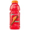 Gatorade Sports Drink, Fruit Punch, 20-Ounce Wide MouthBottles (Pack of 24)