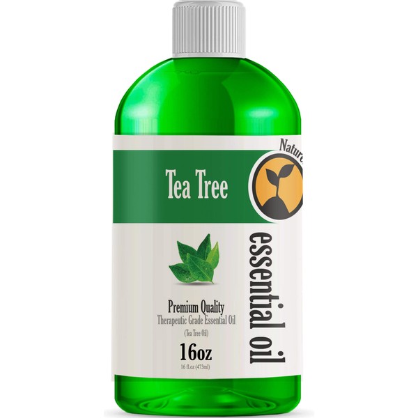 16oz - Bulk Size Tea Tree Essential Oil (16 Ounce Total) - Therapeutic Grade Essential Oil - 16 Fl Oz Bottle