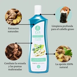 Shampoo Eva Essence Jengibre Y Menta 1l Limpieza Profunda