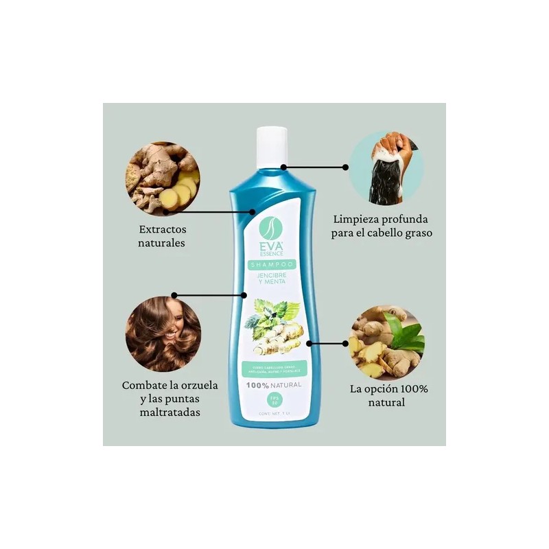 Shampoo Eva Essence Jengibre Y Menta 1l Limpieza Profunda