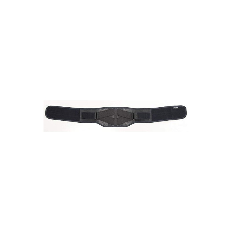 中山式 ボディフレーム 腰用 ハード Lサイズ