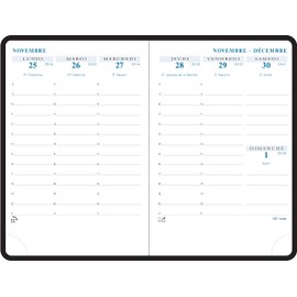 Exacompta - 1501362E - Pocket Calendar SAS 15 Agora Canvas - 10.5 cm x 15.5 cm - August 2024 to August 2025 - Colour Duck Blue