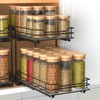 BOIVSHI 2-Tier Spice Rack, Pull Out Spice Racks Organizer for