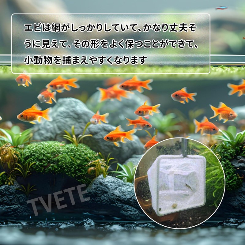 Stainless Steel Fish Net, Fish Net, Telescopic Stainless Steel Handle,