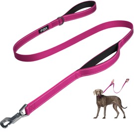 Fida 5 FT Heavy Duty Dog Leash with 2 Comfortable Padded Handles, Traffic Handle & Advanced Easy Snap Hook, Reflective Walking Lead for Large, Medium & Small Breed Dogs, Rose