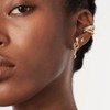 Jenosy Gold Earrings, Gold Plated