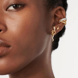 Jenosy Gold Earrings, Gold Plated