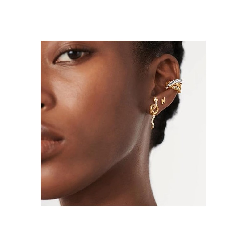 Jenosy Gold Earrings, Gold Plated