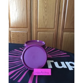 TUPPERWARE LITTLE WONDERS SET OF 4 RHUBARB/PURPLE NEW BPA FREE SHIP