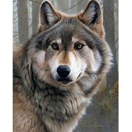 LVIITIS DIY 5D Diamond Painting Wolf Kits for Adults Full Drill, Painting Cross Stitch Crystal Rhinestone Embroidery Pictures Arts Craft for Home Wall Decor Gift，5D Painting Arts Kit (Wolf)
