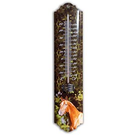 Antikas - Pet Thermometer Made of Iron, Green Lacquered, Horse Motif