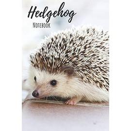 Hedgehog Notebook: 120 pages, 6"x9" - Cute Little Hedgehogs and Leaves College Ruled Notebook for Writing Notes... for Girls, Kids, School, Students and Teachers (Hedgehog Gifts)