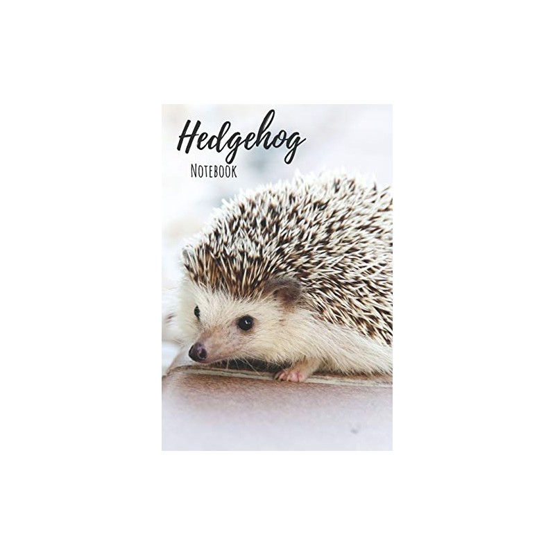 Hedgehog Notebook: 120 pages, 6"x9" - Cute Little Hedgehogs and