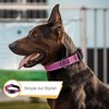 HEELE Dog Collar, Nylon Dog Collar, Reflective Dog Collar with