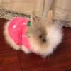 ANIAC Bunny Clothes for Rabbits Warm Kitten Vest Fleece XXXS