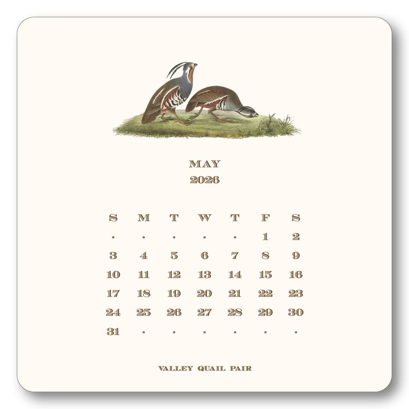 SHADE TREE GREETINGS Upland Birds 2026 Desk Calendar with Easel