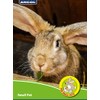 Ancol Just 4 Pets Wooden Carrot Cruncher Chew Toy