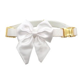 Croci Ceremony Bride Wedding Dog Collar with Removable Satin Bow, White with Gold Detail, for Small Medium Large Dogs S/28-44cm