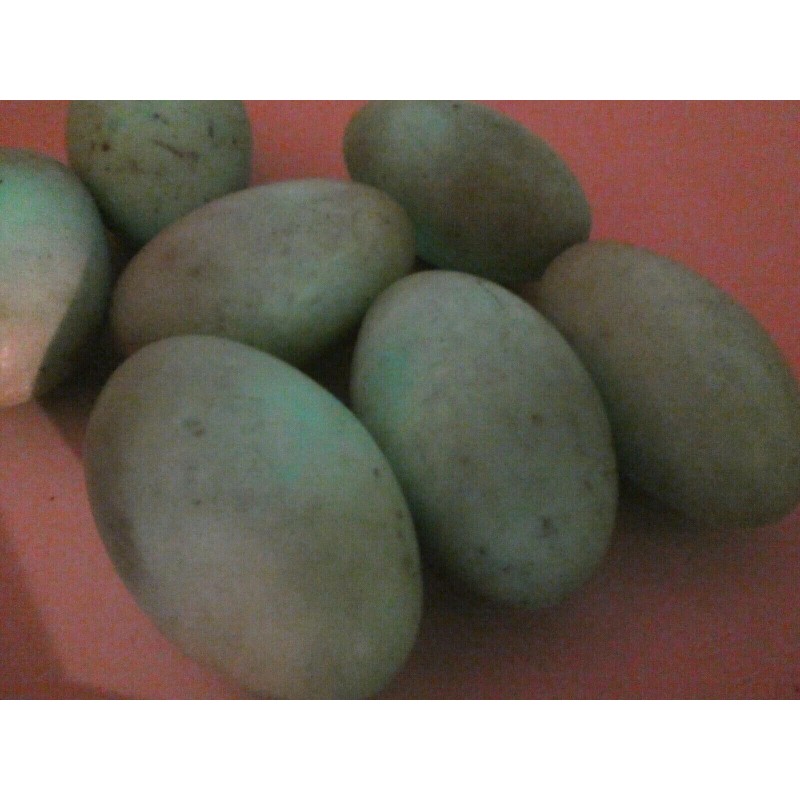 Phosphorescent Ye Ming Zhu Glow In The Dark Polished Specimen