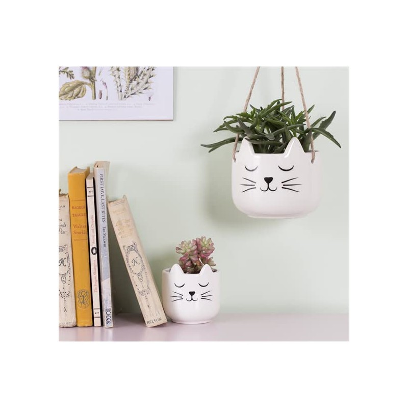 Sass & Belle Mini Cat's Whiskers White Planter
